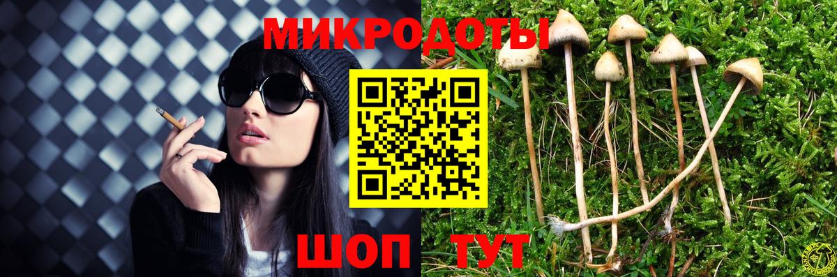 Псилоцибиновые грибы мицелий  Вход с VPN  Ставрополь  Галлюциногенные грибы Cubensis 