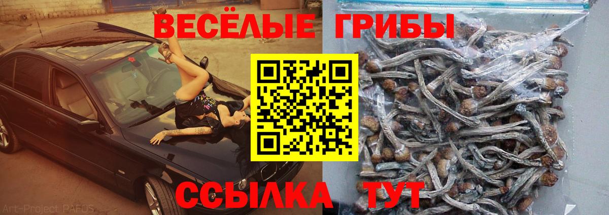 Галлюциногенные грибы Magic Shrooms Ставрополь
