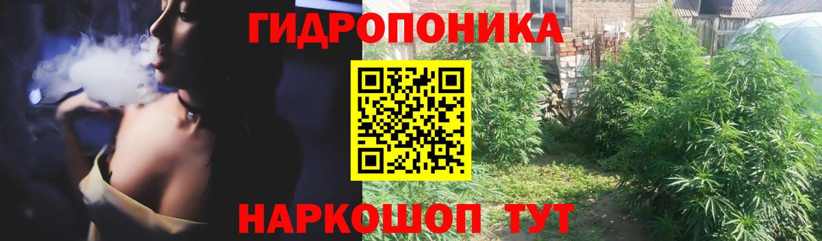 Шишки марихуана планчик  Марихуана AK-47  Ставрополь  Вход с VPN 